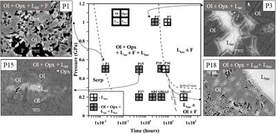 Hydrated Peridotite–Basaltic Melt Interaction Part II: Fast Assimilation of Serpentinized Mantle by Basaltic Magma